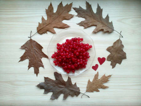 Red currant berries and leaves on a bright wooden beautiful backgroundの素材