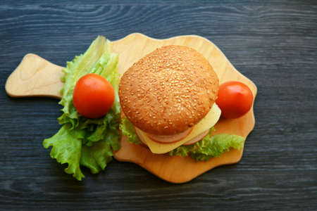Burger homemade and vegetablesの素材