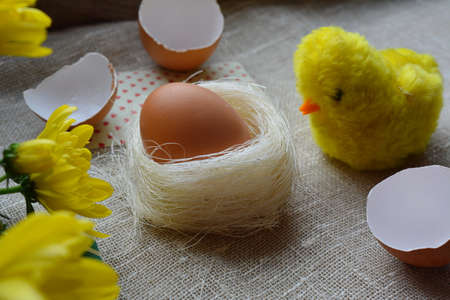 Easter eggs and chicken on a natural beautiful backgroundの写真素材