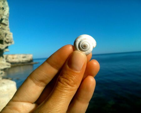 Shell in the hand on a sea and blue sky backgroundの素材