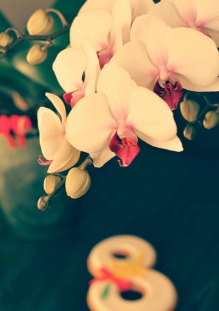 8 March gingerbread and orchid gray vintage background