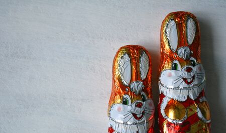 Holiday candy rabbits white backgroundの素材
