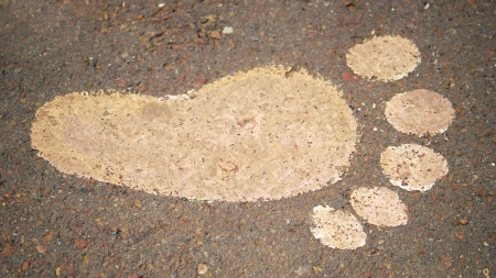 foot print on the asphaltの写真素材