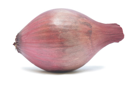onion isolated on white backgroundの写真素材