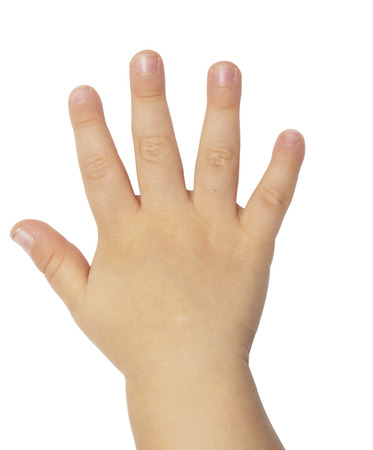 child's hand isolated on white backgroundの写真素材