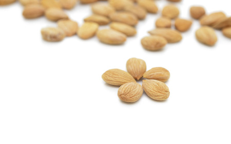 apricot almonds isolated on white backgroundの写真素材