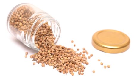 spice mill isolated on a white backgroundの写真素材