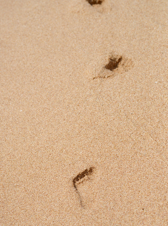 footprints on a yellow sandy beachの写真素材