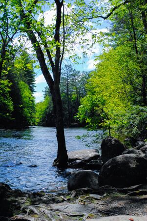 River Landscape