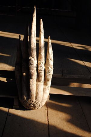 Wood of nagas in の写真素材