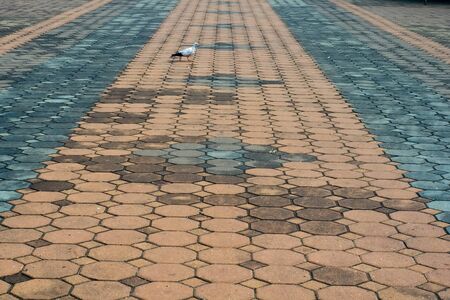 walkwayの写真素材