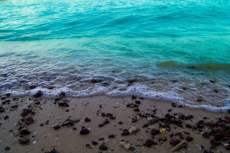 Waves on the shore