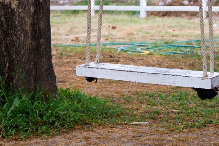 Old wooden swing under a tree with a rope tie.の写真素材