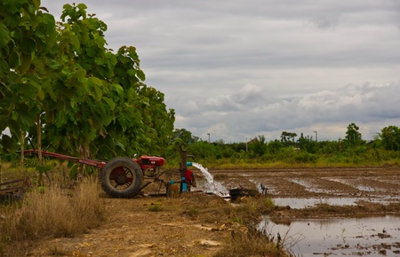 Tractor pump in rice field in Thailandの写真素材