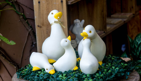 Family duck toy white On the green plasticの写真素材