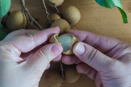 Closed up Hands are peeled longan,many longanの写真素材