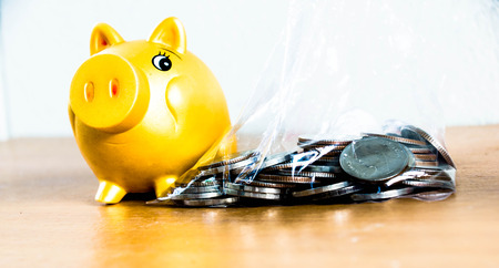 Coin in plastic bag with piggy bank on side.の写真素材