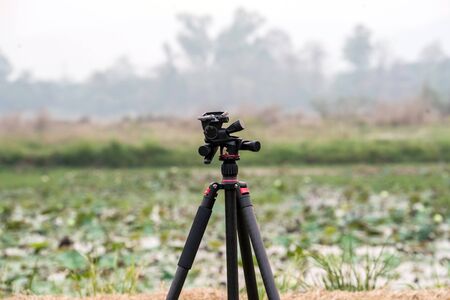 Tripod for the camera is on the ground in natureの写真素材