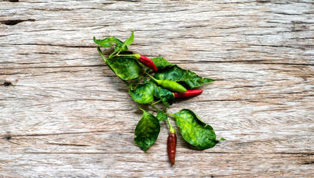 Red and green Paprika on old wooden table with place for textの写真素材