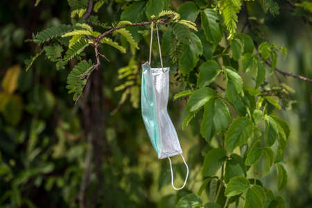 Disposable face mask and hung on the branches.の写真素材