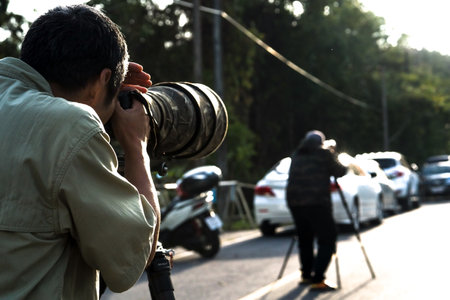 Old gas lamp hanging on a tree branch ,pine treeの写真素材