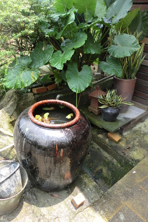 Green cornerの写真素材