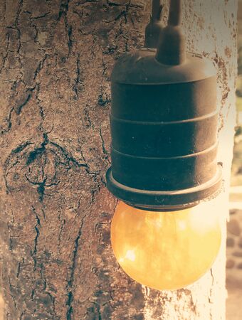 retro bulb at the tree