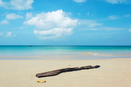 beach tropical sea with clear sky
