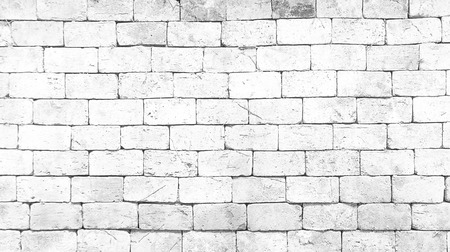 white grunge  brick wall background