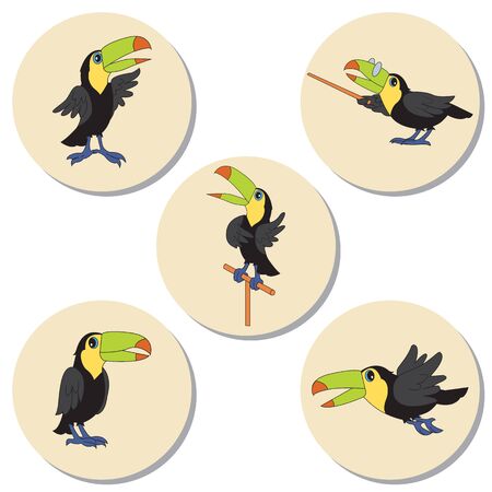 Set of character illustrations. Cute birds toucan. Cartoon personages isolated on round background with shadow.のイラスト素材