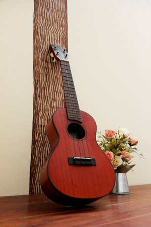 Concert Ukulele with Rosesの写真素材