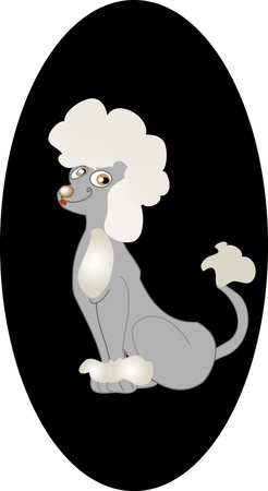 Poodleのイラスト素材