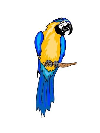 Parrotのイラスト素材