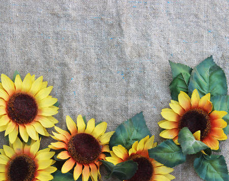 Sunflowers on fabricの写真素材