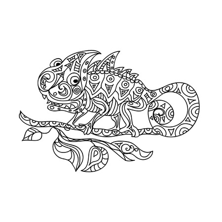 Chameleon のイラスト素材