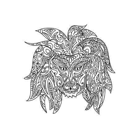 Lion coloring pageのイラスト素材