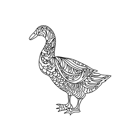 Duck zentangle coloring pageのイラスト素材