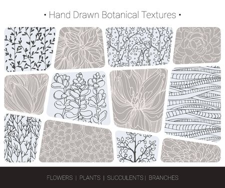 Floral vector textures. Botanical design elements for organic branding, wedding invitation, greeting card, fashion textile and floral prints. Hand drawn flower bloom, succulent, tree branch pattern.のイラスト素材
