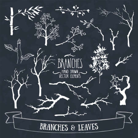 Tree branches and plants silhouettes made with ink. Hand drawn vector clipart illustration collection of rustic, floral design elements. Wood twigs, sticks, forest, driftwoods, flowers and leaves.のイラスト素材