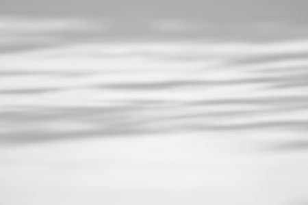 Shadow overlay effect on white background. Abstract sunlight background with organic shadows from...