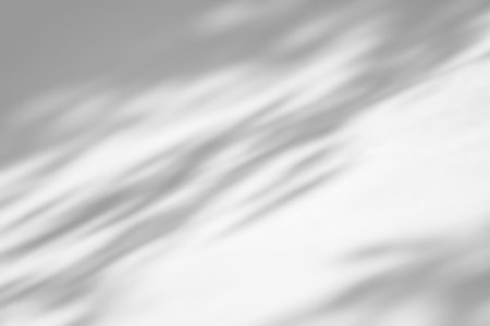 Shadow overlay effect on white background. Abstract sunlight background with organic shadows from plants, leaves, and branches.の写真素材