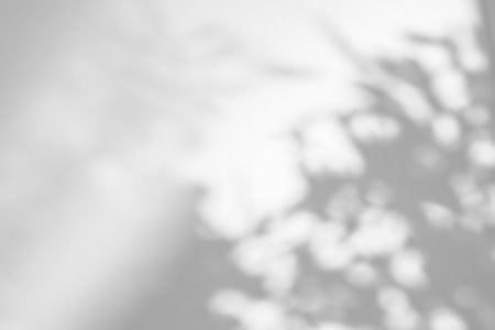 Shadow overlay effect on white background. Abstract sunlight background with organic shadows from...