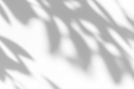 Shadow overlay effect on white background. Abstract sunlight background with organic botanical shadows from plants, leaves, and branches.の写真素材