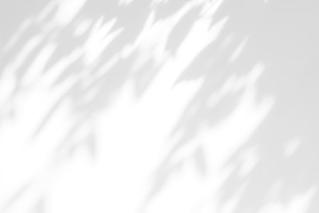Shadow overlay effect on white background. Abstract sunlight background with organic botanical shadows from plants, leaves, and branches.の写真素材