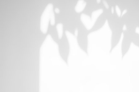 Shadow overlay effect on white background. Abstract sunlight background with organic botanical...