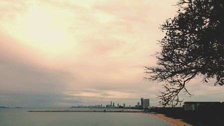 Landscape in Pattaya Thailandの素材
