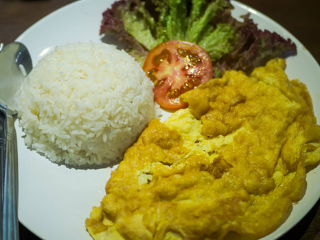 Minced pork omelet top rice.の写真素材