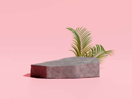 3d rendering of stone podium and plant for product presentation.の写真素材