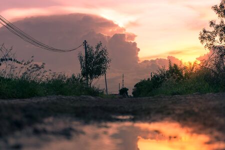 Country road and beautiful sunset with side tree