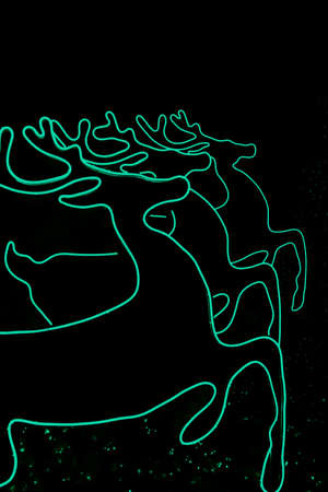 Reindeer green light decoration for Christmas timeの写真素材
